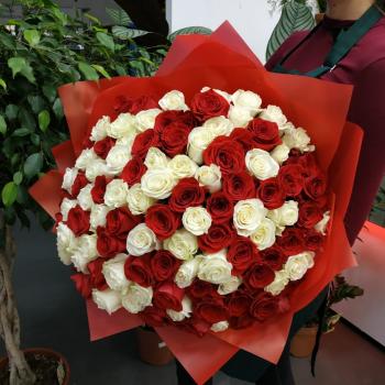 Букет Букет из 101 розы (красные и белые розы) articul - 93995