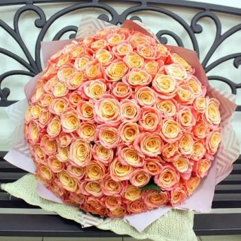 Букет Оранжевые розы Эквадор 101 шт (50 см) articul: 164230