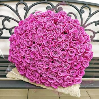Букет Розовые розы Эквадор 101 шт (50 см) №  164120